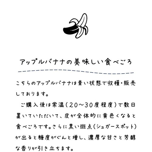 沖縄県産 泉川ファームのアップルバナナ 300g