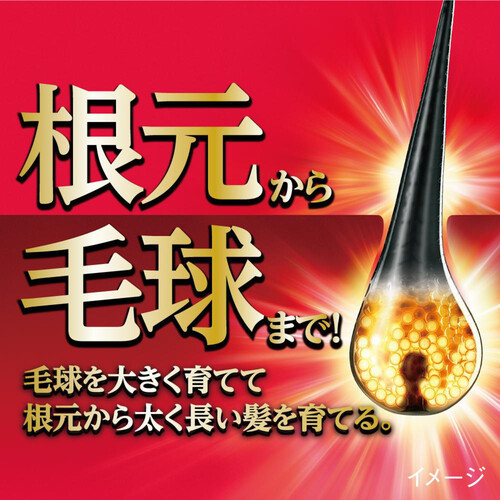 花王 サクセス 薬用育毛トニック ボリュームケア エクストラクール 無香料  180g