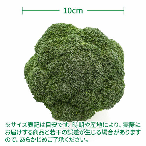 ［鮮度+］埼玉県産 ブロッコリー 1個