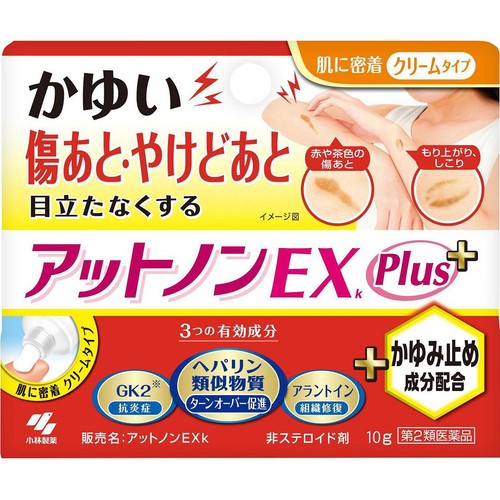 【第2類医薬品】アットノンEXプラス 10g