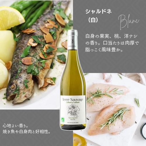 【フランス産】 Gilbert&Gaillard ソーヴィニヨン・ブラン 750ml