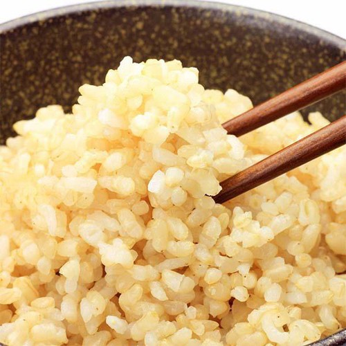 アイリッツ 特別栽培米 籾発芽玄米 芽吹き米 1kg
