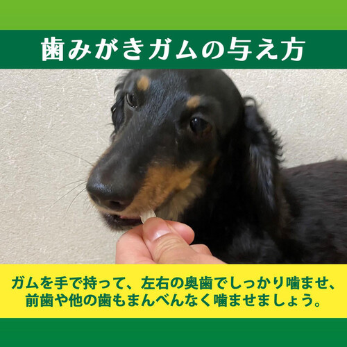 ライオンペット PETKISS 食後の歯みがきガム 超小型犬用 90g