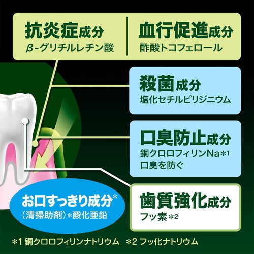 花王 ディープクリーン撰 濃密クリームハミガキ 100g