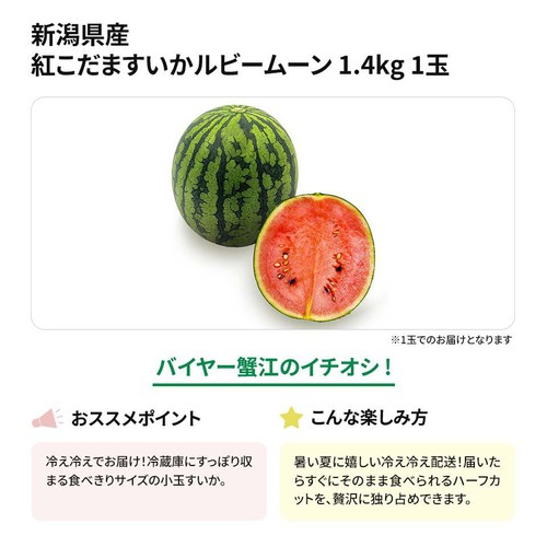 新潟県産 紅こだますいかルビームーン 1.4kg 1玉