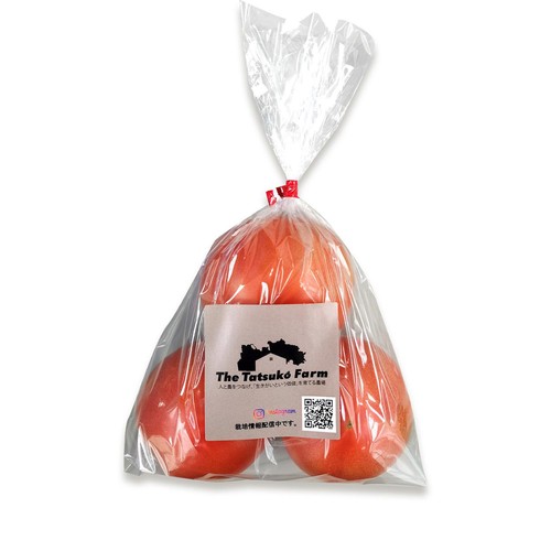 千葉県産 The Tatsuko Farm トマト 500g(3-5個)