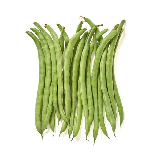 千葉県産 いんげん 100g
