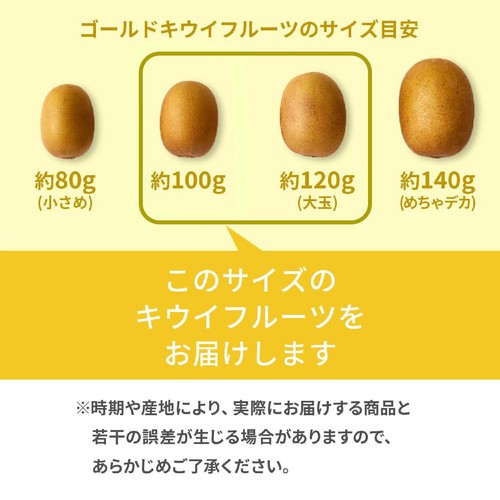 ニュージーランド産 ゼスプリ サンゴールドキウイフルーツ 5-6個 600g