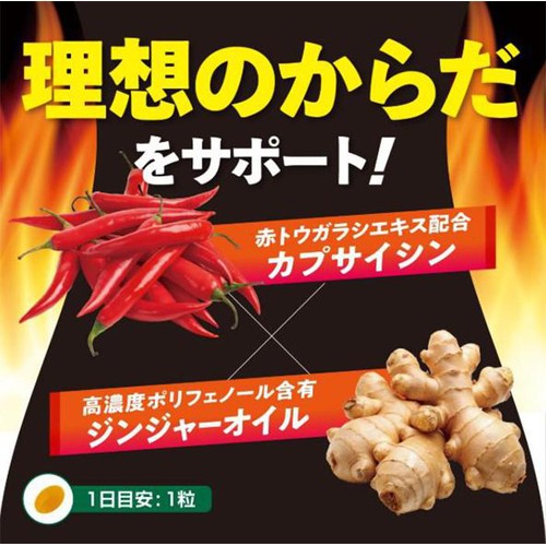 伊藤忠食品 カプサイジンジャーW 30粒