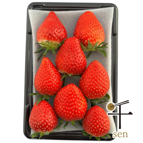 千葉県産 さんたファームのこだわりいちご(ほしうらら) 250g