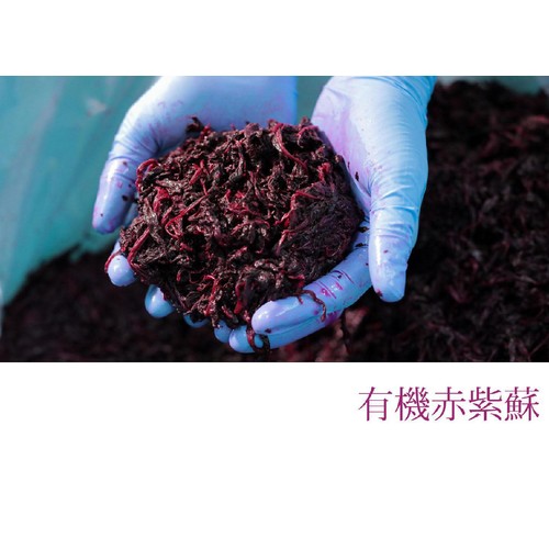 深見梅店 やさしい梅屋さん 有機梅干し しそ漬け梅 100g