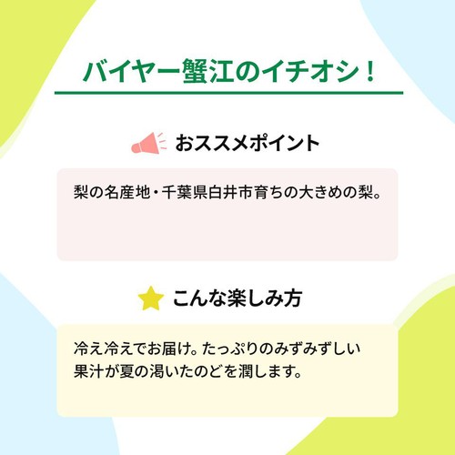 千葉県産 しろいのおすすめ梨 大玉 2個