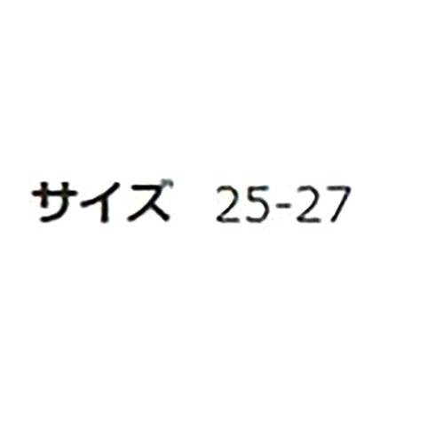 グンゼ アクティブスタイル 紳士アーチサポート付きショート丈ソックス 25-27 ホワイト