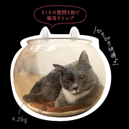 【ペット用】 ドギーマンハヤシ おっきなにゃんこの金魚鉢 Lサイズ