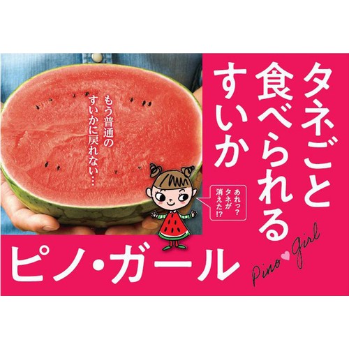 千葉県千葉市産 平山甘熟タネごと食べられるすいかピノ・ガール