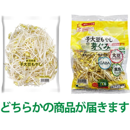 サラダコスモ 新潟県産 子大豆もやし 200g