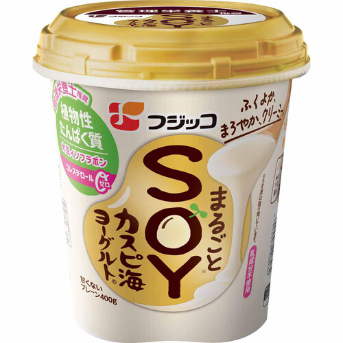 フジッコ まるごとSOYカスピ海ヨーグルト 400g