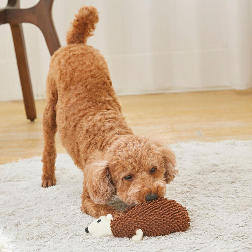 【ペット用】 ペティオ モコモコシャカシャカTOY BIG ハリネズミ 超小型犬〜小型犬用 1個