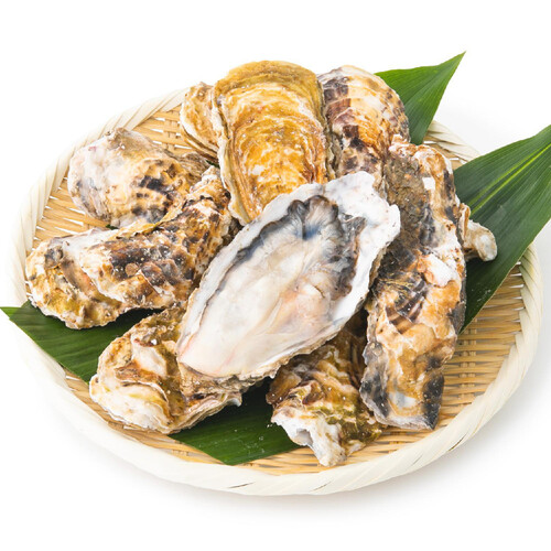 冷凍】宮城産 殻付かき 1kg Green Beans | グリーンビーンズ by AEON