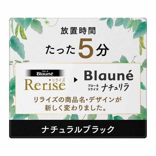 花王ブローネ リライズ　カラートリートメント 4個セット 本体+付け替え用 花王 ブローネ リライズ ナチュリラ 色長持ちカラー