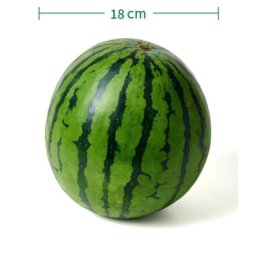 国内産 すいか(ぷちっと) 小さめ 2.7kg 1玉