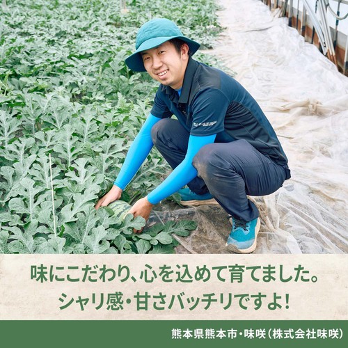 熊本県産 味咲すうぃーと(羅皇ザ・スウィート) 大玉すいか 4.5kg 1玉