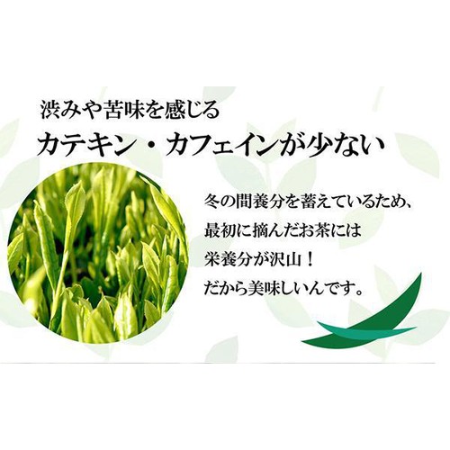 葉桐 静岡新茶ティーバッグ 旬 20袋入