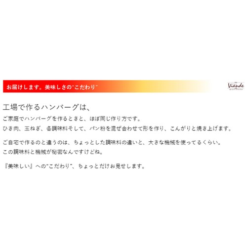 日東ベスト JG ハンバーグヴィアンド【冷凍】 110g