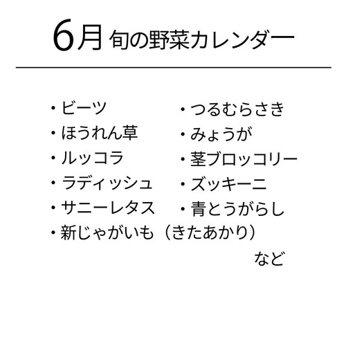 千葉県千葉市産 ぐー農園おまかせ野菜セット 5種 1袋