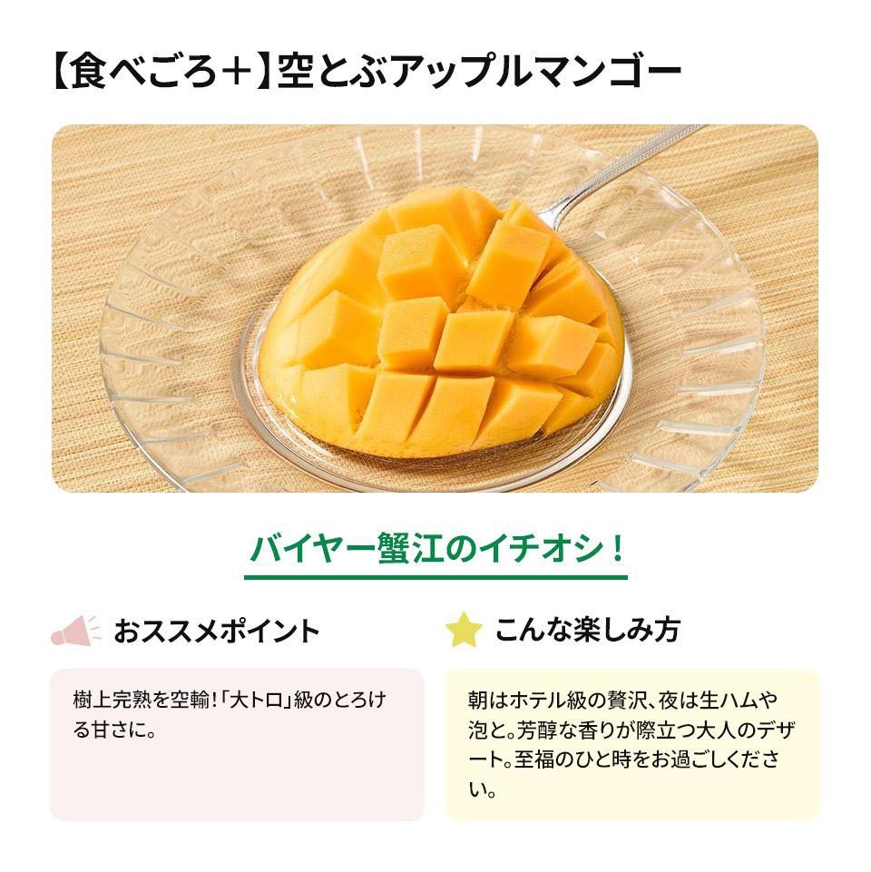 食べごろ+] 輸入 空とぶアップルマンゴー 380g Green Beans | グリーン
