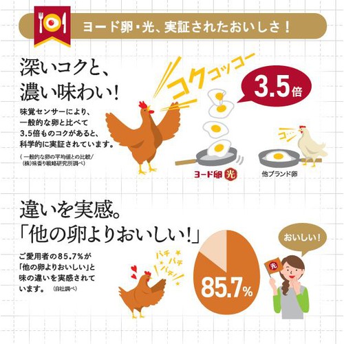 日本農産 ヨード卵 光 6個入