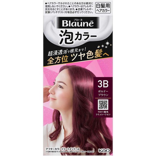花王 ブローネ 泡カラー 3B ボルドーブラウン 100ml + 8g