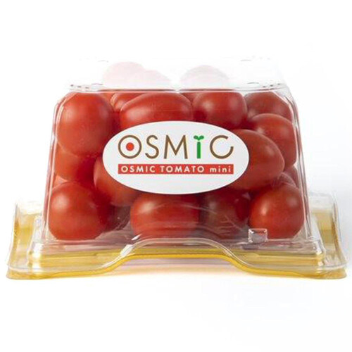 千葉県産 OSMICトマト mini 420g 1パック Green Beans | グリーン 