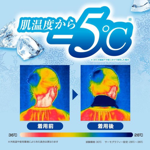白元アース アイスノン 冷んやりタオル 無香料 5包入