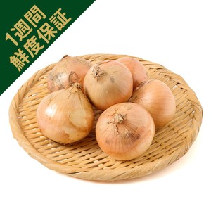 たまねぎ カテゴリー Green Beans | グリーンビーンズ by AEON