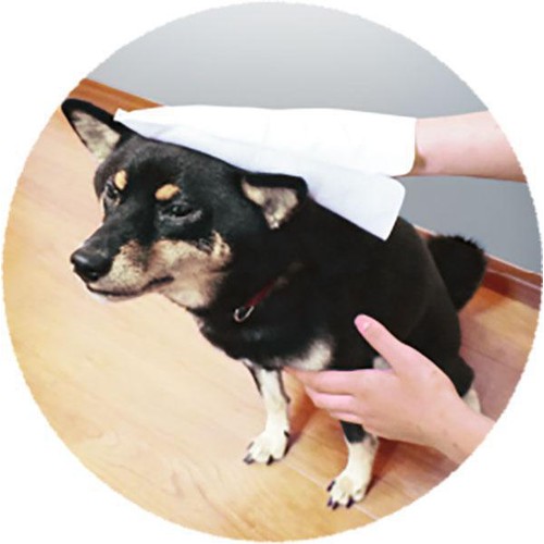 【ペット用】 ライオンペット ペットキレイ ミトンでらくらくシャンプータオル 犬用 15枚