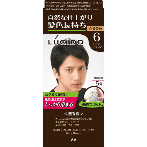 ルシード ワンプッシュケアカラー ダークブラウン 医薬部外品 50g+50g