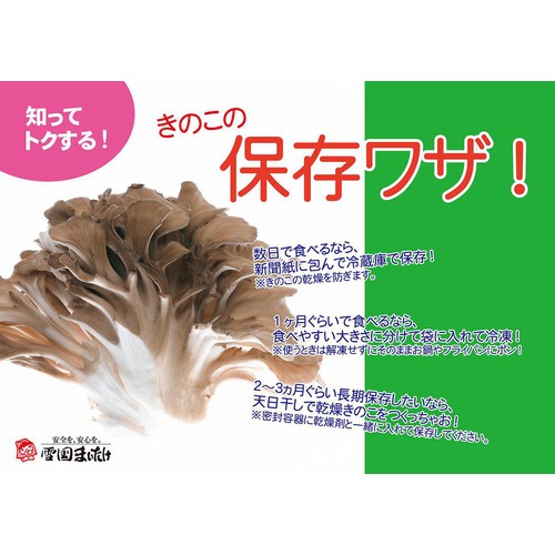鮮度+］新潟県産 雪国まいたけ極 LLパック 300g 1パック Green