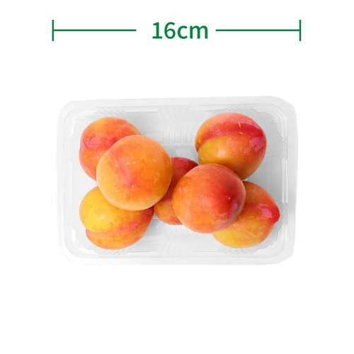 国内産 プラム 大石早生 500g