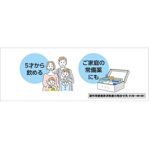 【第2類医薬品】パンシロンG 20包