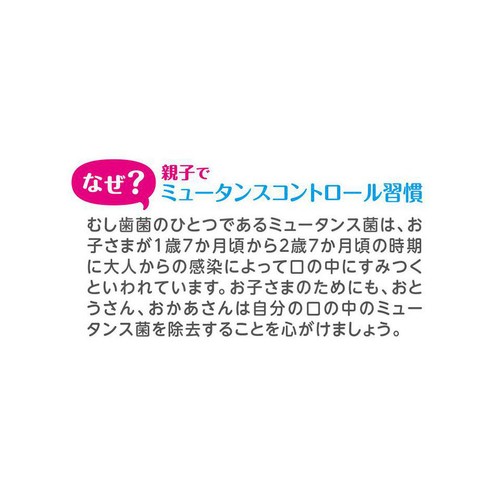 雪印ビーンスターク ハキラ ラムネ 1歳半頃から 60粒入