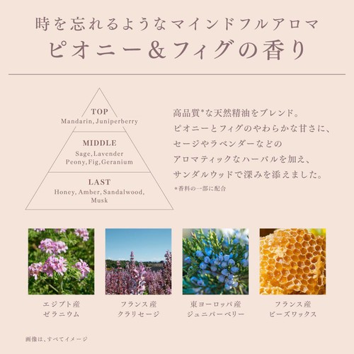 花王 メルト モイストオイル 80ml