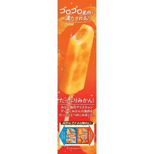 赤城乳業 ガツン、とみかん 58ml x 5本入