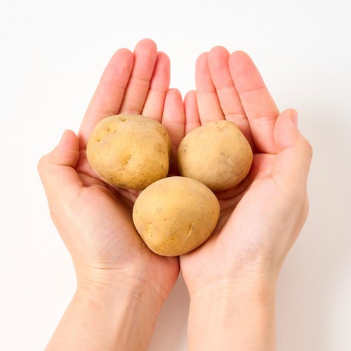 有機】北海道産 じゃがいも(こつぶ) 500g Green Beans | グリーン