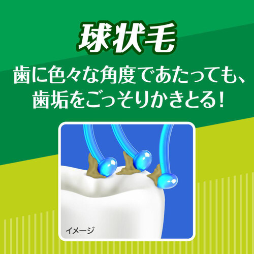 花王 クリアクリーンハブラシ 歯面&すき間プラス コンパクト ふつう 1本