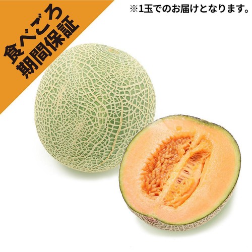 ［食べごろ+］山形県産 庄内砂丘メロン(赤肉) 大玉 1.1kg 1玉