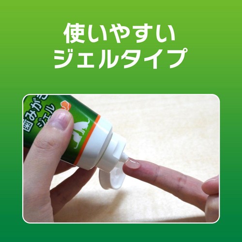 【ペット用】 ライオン PETKISS 歯みがきジェル リーフの香り 犬・猫用 40g