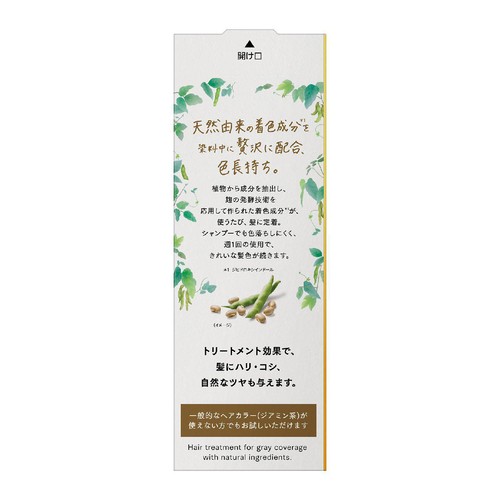 花王 ブローネ ナチュリラ 色長持ちカラートリートメント ダークブラウン 本体 155g