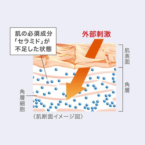 花王 キュレル 潤浸保湿 フェイスクリーム 70g