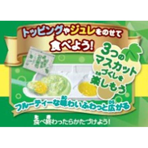 クラシエフーズ 大人のねるねるねるね シャインマスカット味 21g